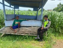 Polsek Montong Polres Tuban Turun Cek Tanaman jagung Warga di Desa Talun