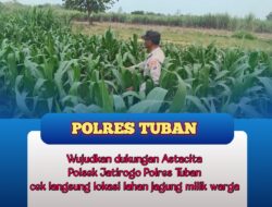 Polsek Jatirogo Turun ke Ladang Jagung Desa Besowo, Wujudkan Dukungan Astacita Swasembada Pangan