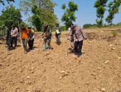 Anggota Polsek Bancar Bersama Forkopimcam dan Warga Gelar Penanaman Jagung Serentak di Desa Siding
