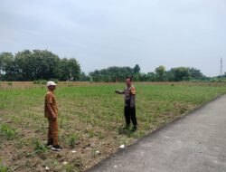 Polri Dukung Astacita, Polsek Palang Polres Tuban jagung milik Warga di Desa Glodog