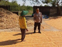 Polri Dukung Astacita, Polsek Semanding Polres Tuban Turun Cek Tanaman jagung milik Warga di Desa Prunggahan wetan