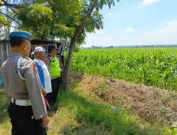 Polri Dukung Astacita, Polsek Rengel Polres Tuban Turun Cek Tanaman Jagung Warga di Desa Maibit