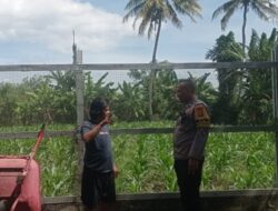 Jaga Ketahanan Pangan, Polsek Labuapi Turun ke Sawah