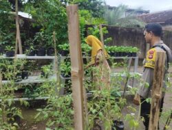 Kunci Sukses Ketahanan Pangan Nasional: Ketika Polisi dan Petani Lombok Barat Bersatu di Sawah