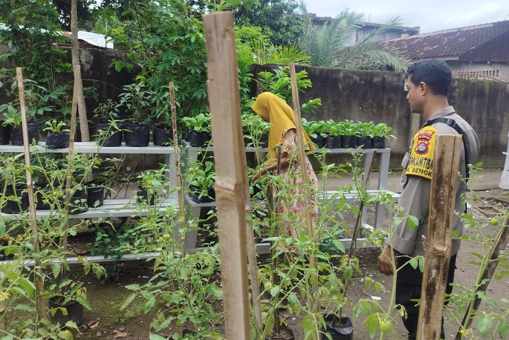 Sentuhan Humanis Polri di Desa Bengkel Dampingi Petani Rawat Padi demi Ketahanan Pangan