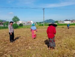 Sinergi Polsek Labuapi dan Petani Lombok Barat Optimalkan Lahan Pertanian