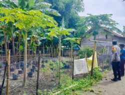 Polsek Labuapi Edukasi Warga Bajur Manfaatkan Pekarangan Rumah