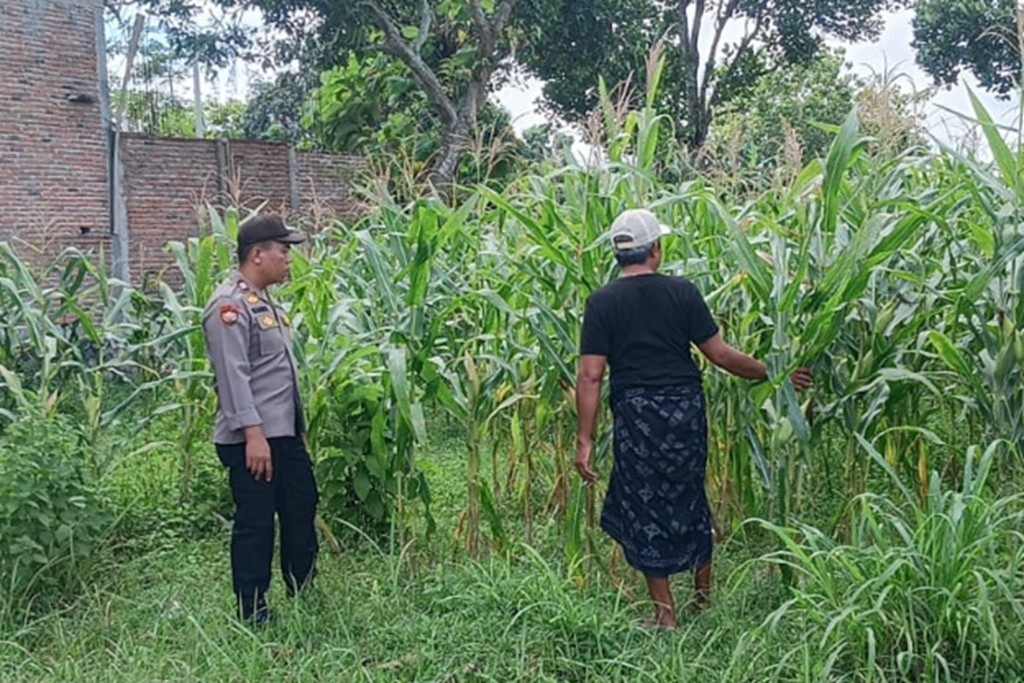 Cara Polsek Labuapi Jaga Stabilitas Pangan di Lombok Barat