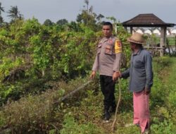 Bhabinkamtibmas Desa Kuranji Dalang Edukasi Petani Jagung Cegah Hama