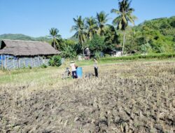 Polisi Turun ke Sawah Lombok Barat, Kawal Ketahanan Pangan Sejak Masa Tanam