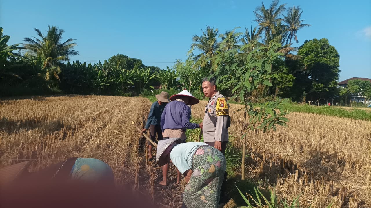 Dukung Ketahanan Pangan, Polsek Batulayar Edukasi Petani Jual Ke Bulog