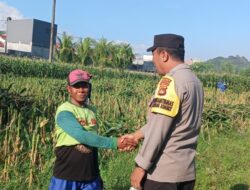 Bukan Sekadar Patroli, Strategi Polsek Labuapi Ini Dongkrak Sektor Pertanian dan Ketahanan Pangan Nasional