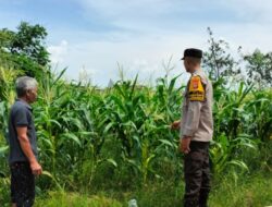Strategi Humanis Polsek Labuapi Gerakkan Warga Manfaatkan Pekarangan untuk Ketahanan Pangan