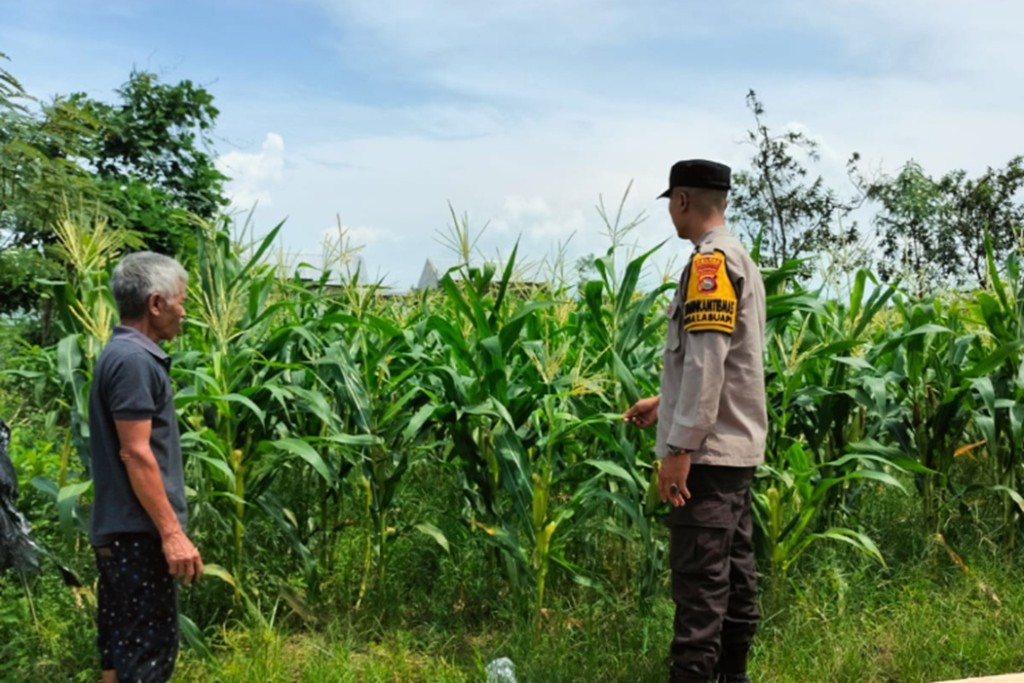 Kemandirian dari Rumah Bagaimana Polsek Labuapi Membangun Fondasi Ketahanan Pangan Nasional
