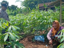 Langkah Nyata Polsek Labuapi Bantu Warga Merembu Jaga Ketahanan Pangan Keluarga
