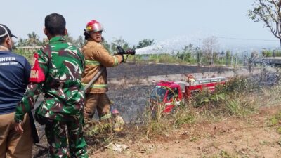Sinergi Lintas Sektor Padamkan Api yang Melahap Bukit Korea
