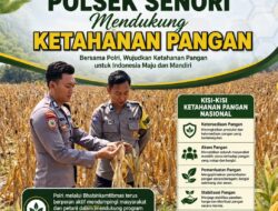Mendukung Program Ketahanan Pangan Nasional Unit Binmas Polsek Senori Polresta Tuban Memantau Tanaman Jagung Milik Warga Desa Jatisari Kecamatan Senori