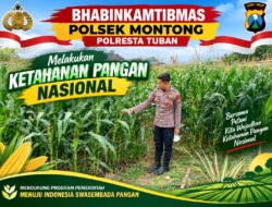 Polsek Montong Polresta Tuban Turun Cek Tanaman jagung Warga di Desa Pakel