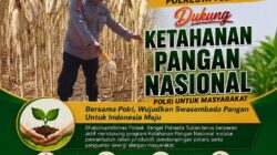 ANGGOTA POLSEK GRABAGAN SAMBANG DESA BINAAN, PANTAU LAHAN JAGUNG DAN MEMASTIKAN SISTEM IRIGASI MASIH LANCAR