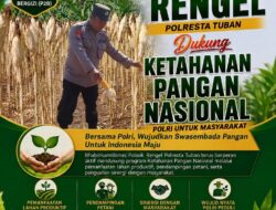 ANGGOTA POLSEK GRABAGAN SAMBANG DESA BINAAN, PANTAU LAHAN JAGUNG DAN MEMASTIKAN SISTEM IRIGASI MASIH LANCAR
