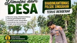 Anggota Polsek Singgahan Polresta Tuban Turun Cek Tanaman jagung Warga di Desa Tunggulrejo