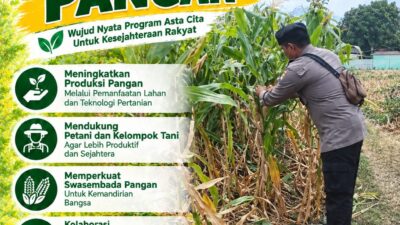 Polri Dukung Astacita, Polsek Merakurak Polres Tuban Turun Cek Tanaman Jagung Warga di Desa Tuwiri Wetan