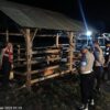 Cegah Pencurian Ternak di Jam Rawan, Polsek Sekotong Intensifkan KRYD Dini Hari