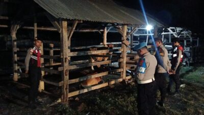 Cegah Pencurian Ternak di Jam Rawan, Polsek Sekotong Intensifkan KRYD Dini Hari
