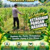 POLSEK KEREK LAKSANAKAN PEMANTAUAN TANAMAN JAGUNG DI DESA BINAAN, DEMI DUKUNG KETAHANAN PANGAN
