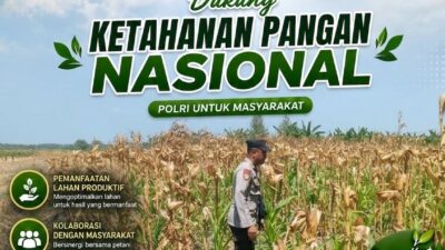 Polri Dukung Astacita, Polsek Rengel Polresta Tuban Turun Cek Tanaman Jagung Warga di Desa Sawahan