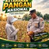 Polsek Plumpang Polresta Tuban Turun Langsung Cek Tanaman Jagung Warga
