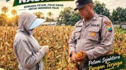 Polsek Plumpang Polresta Tuban Turun Langsung Cek Tanaman Jagung Warga