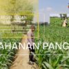 Polri Dukung Astacita, Polsek Semanding Polresta Tuban Turun Cek Tanaman jagung milik Warga di Desa Ngino