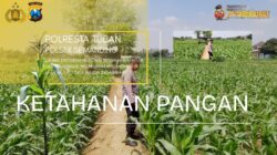 Polri Dukung Astacita, Polsek Semanding Polresta Tuban Turun Cek Tanaman jagung milik Warga di Desa Ngino