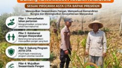 Polri Dukung Astacita, Polsek Grabagan Polresta Tuban Turun Cek Tanaman jagung milik Warga di Desa Grabagan