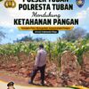 Polsek Tuban Pantau Perkembangan Lahan Jagung, Dukung Ketahanan Pangan Nasional