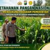 Polsek Montong Polresta Tuban Turun Cek Tanaman jagung Warga di Desa Bringin